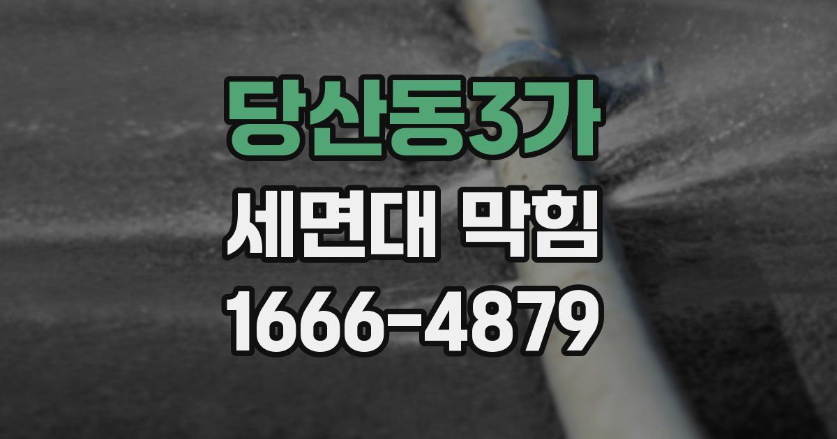 당산동3가 세면대 막힘