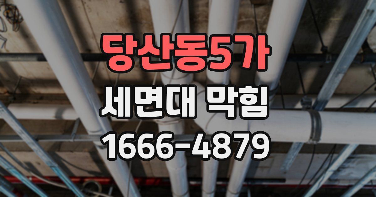 당산동5가 세면대 막힘