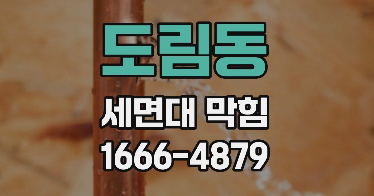 도림동 세면대 막힘