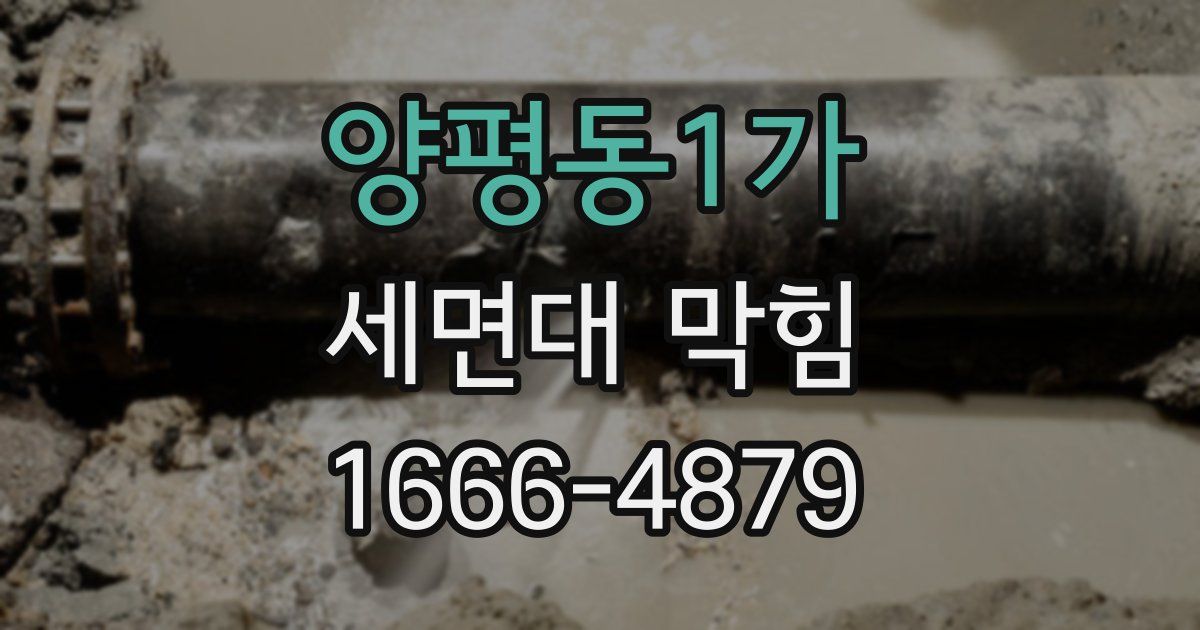 양평동1가 세면대 막힘