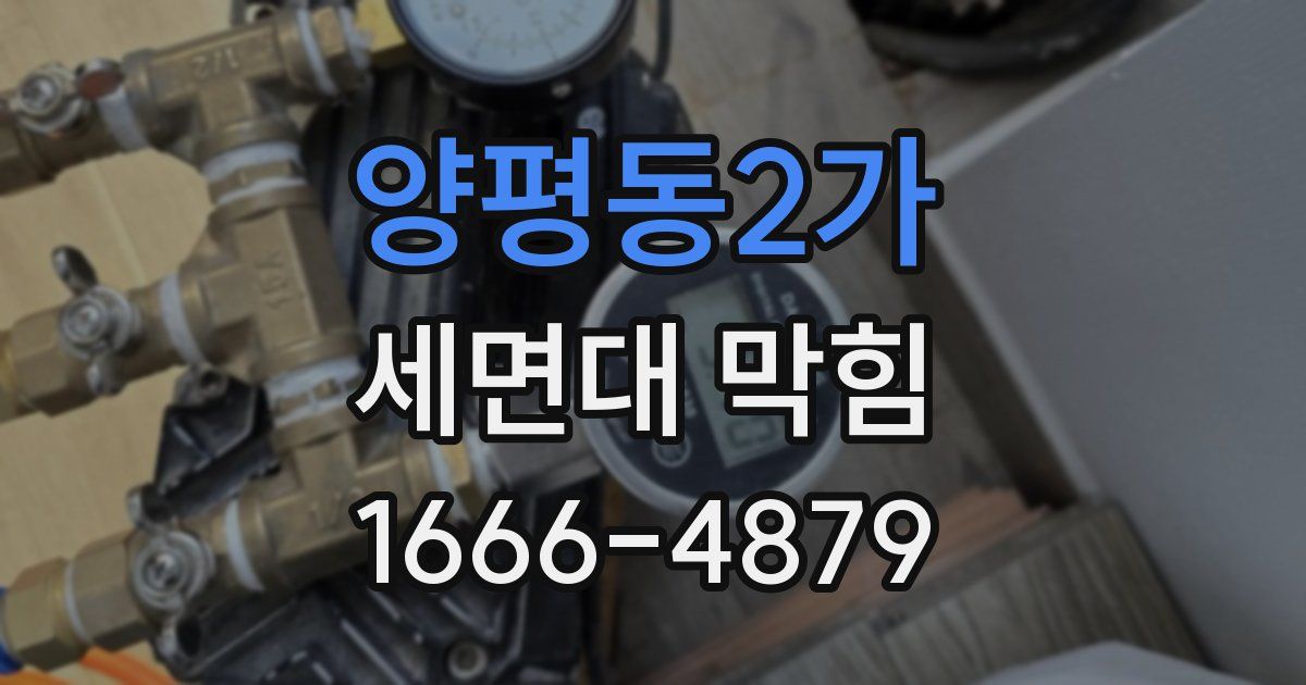양평동2가 세면대 막힘