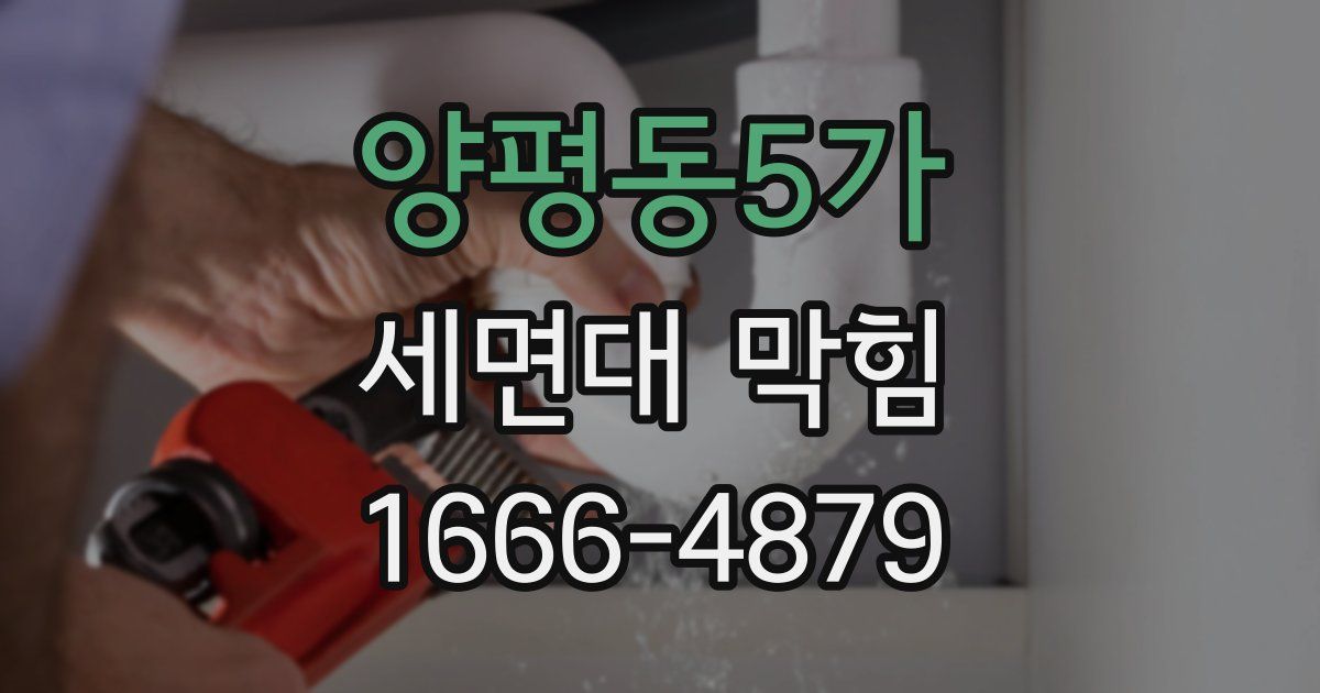 양평동5가 세면대 막힘