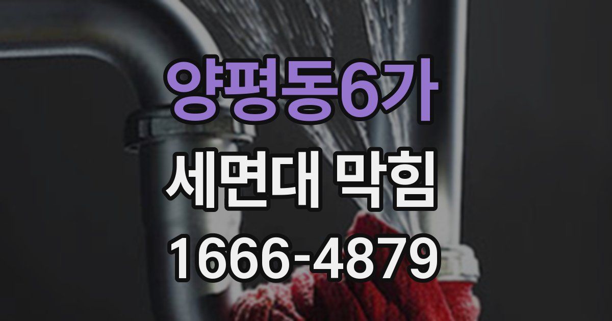 양평동6가 세면대 막힘