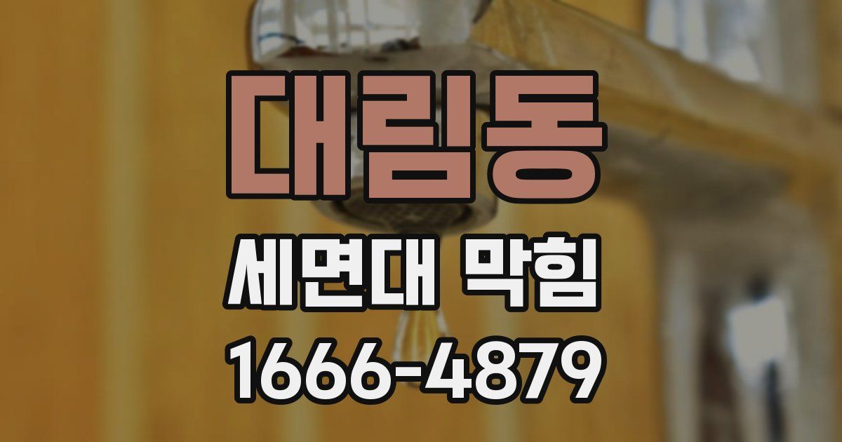 대림동 세면대 막힘