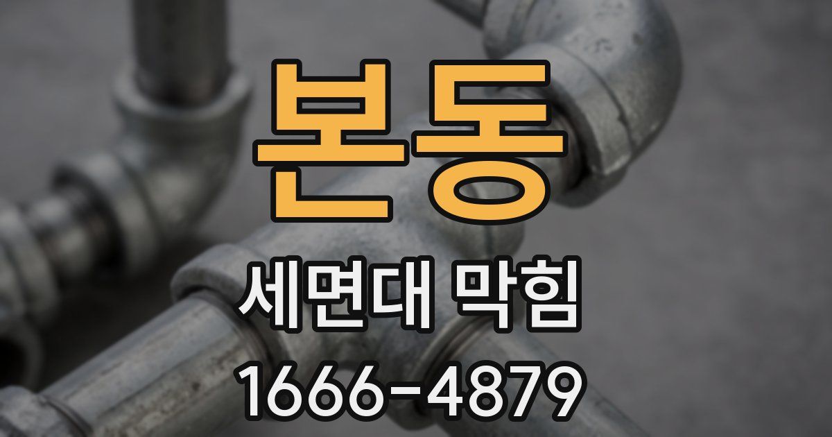본동 세면대 막힘