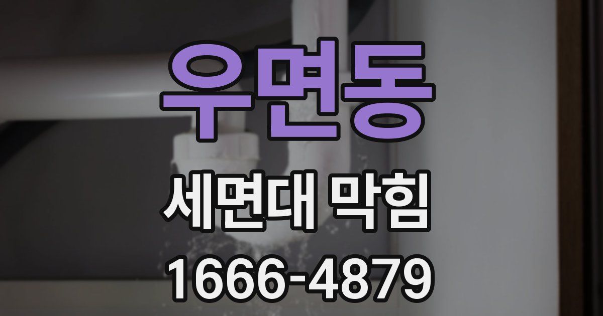 우면동 세면대 막힘