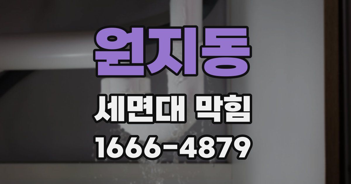 원지동 세면대 막힘