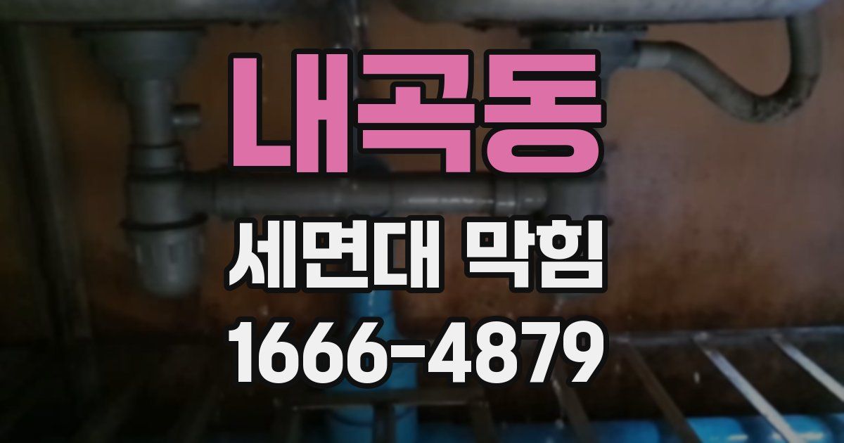 내곡동 세면대 막힘
