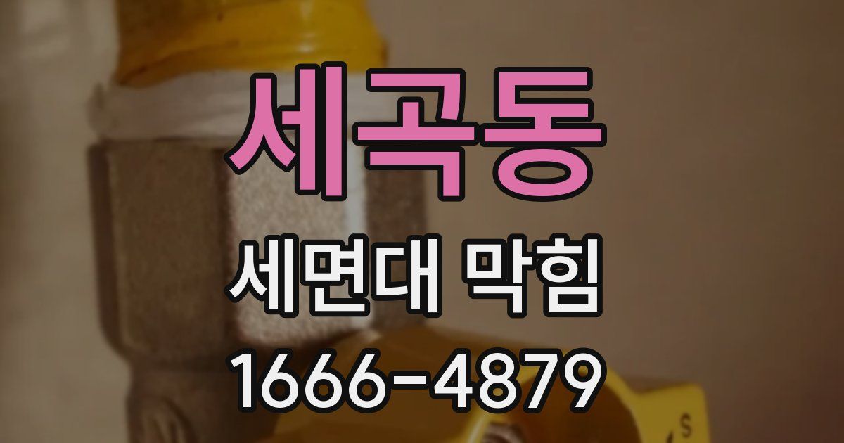 세곡동 세면대 막힘