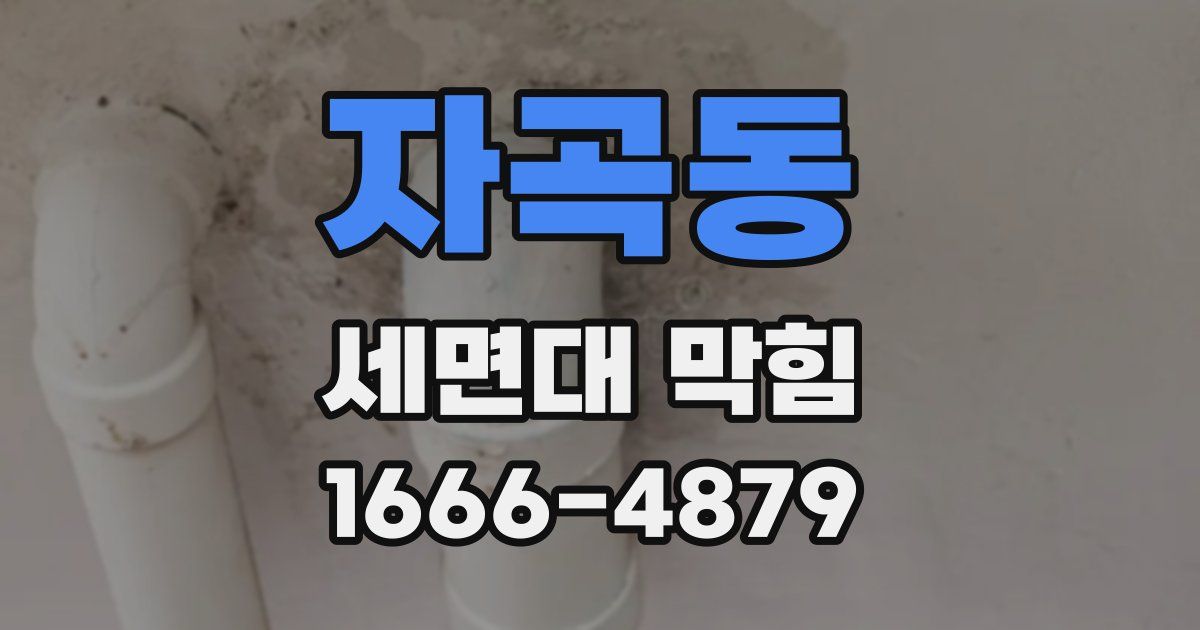 자곡동 세면대 막힘