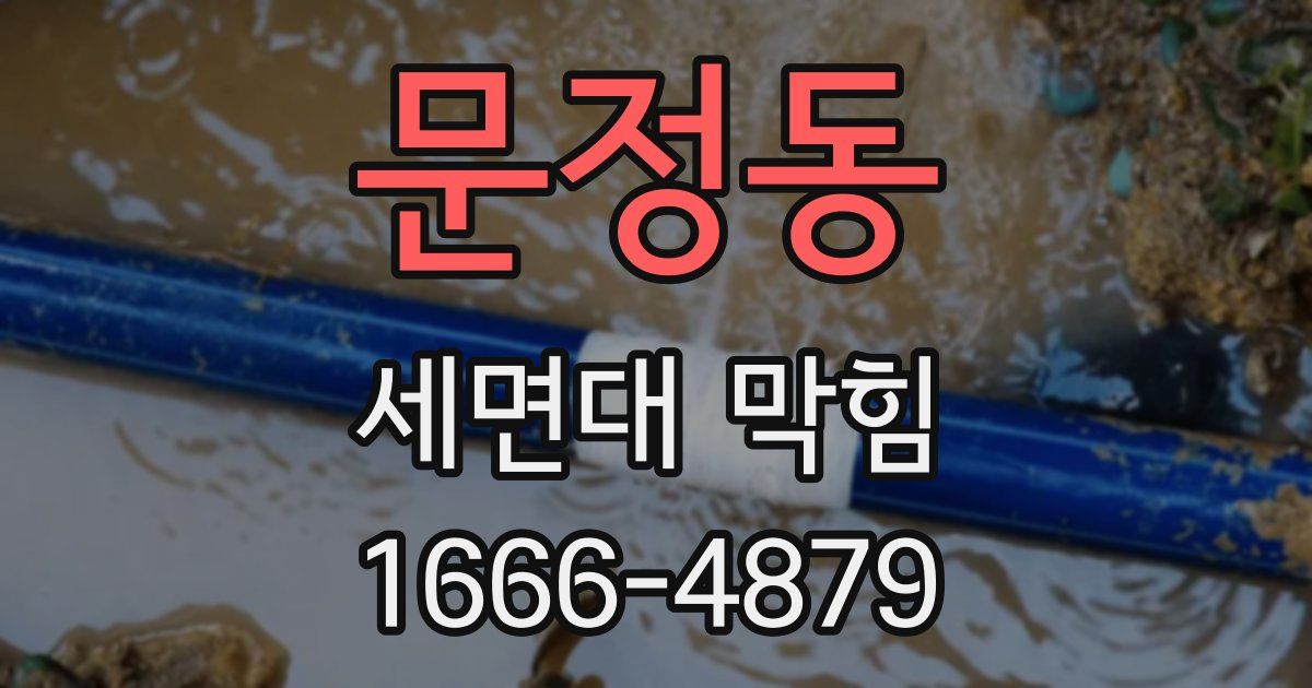 문정동 세면대 막힘