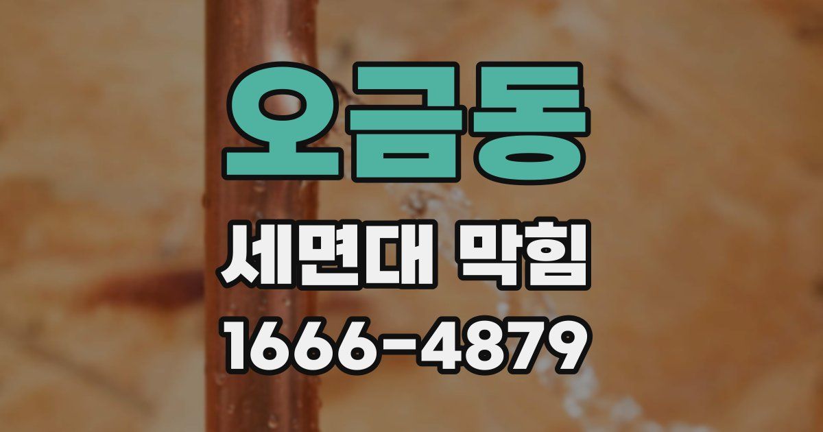 오금동 세면대 막힘
