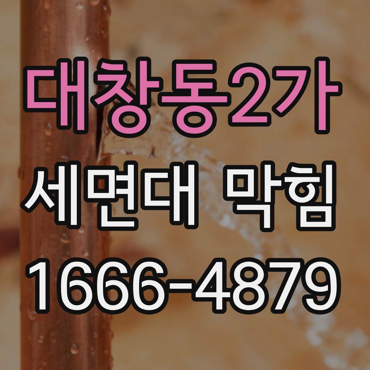 대창동2가 세면대 막힘