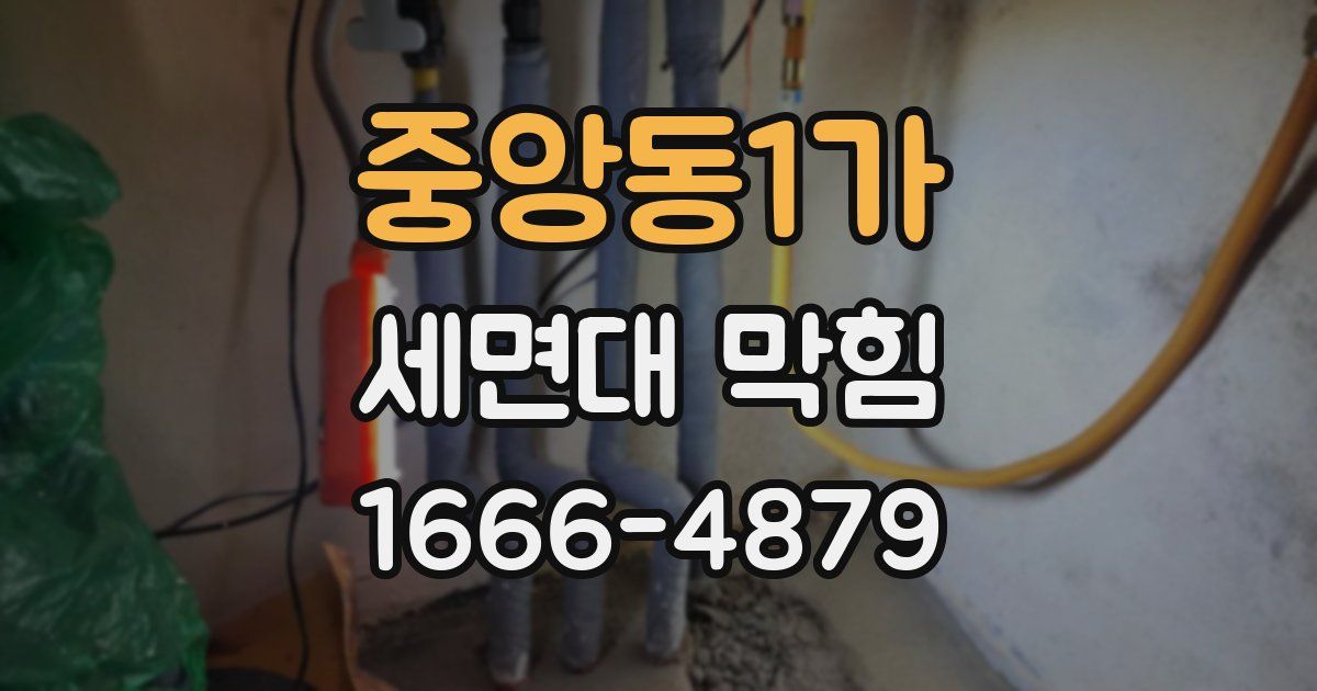 중앙동1가 세면대 막힘
