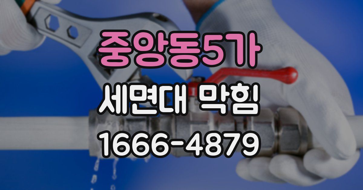 중앙동5가 세면대 막힘