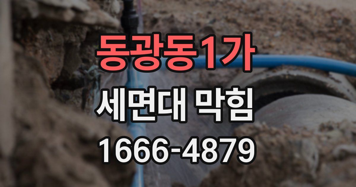 동광동1가 세면대 막힘