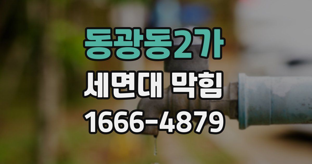 동광동2가 세면대 막힘