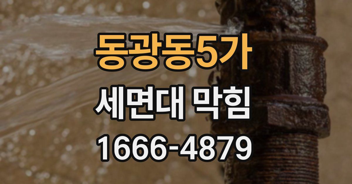 동광동5가 세면대 막힘