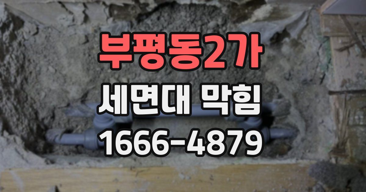 부평동2가 세면대 막힘