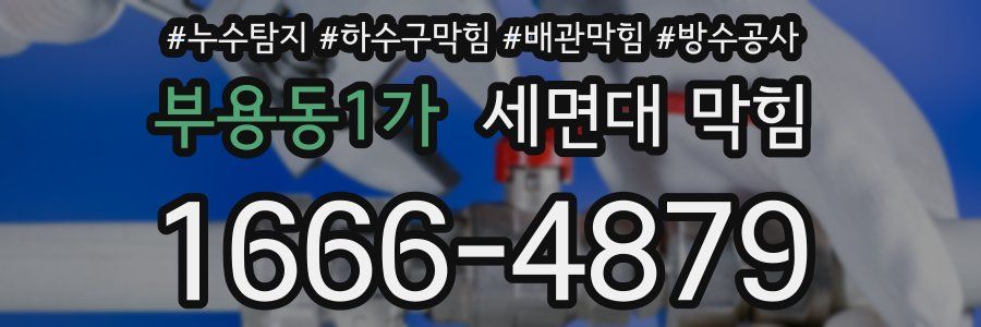 부용동1가 세면대 막힘
