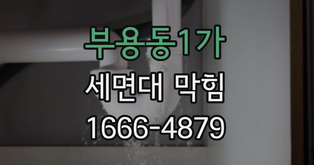 부용동1가 세면대 막힘