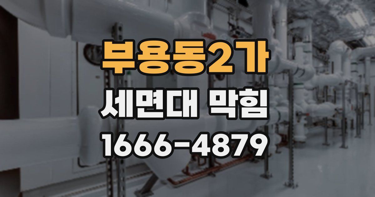 부용동2가 세면대 막힘