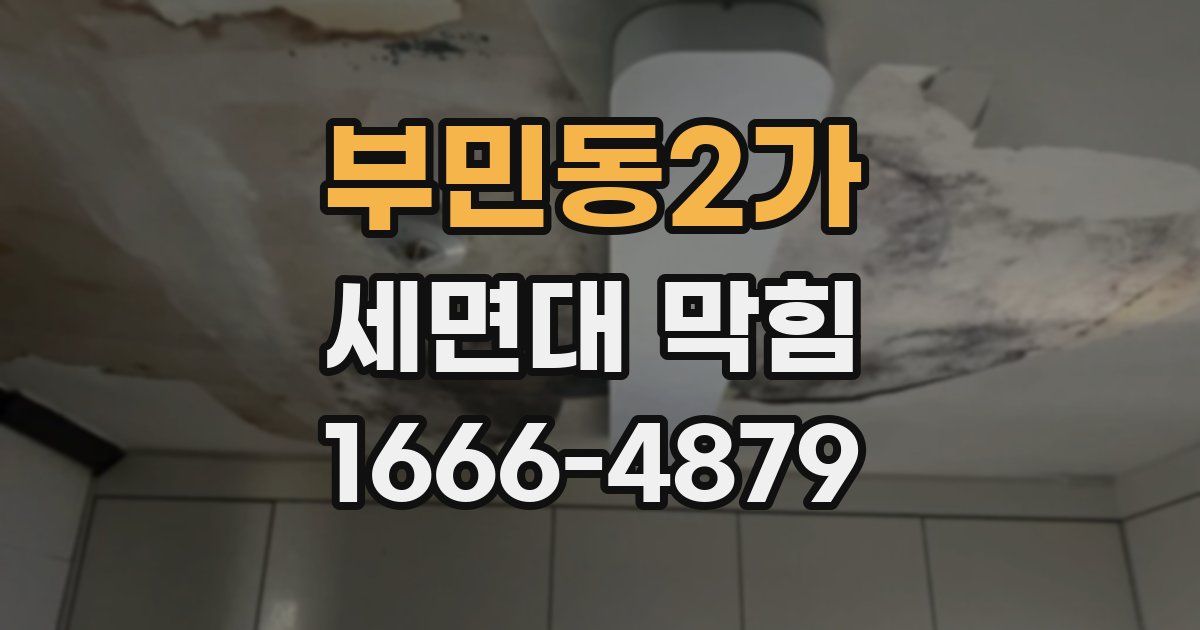 부민동2가 세면대 막힘