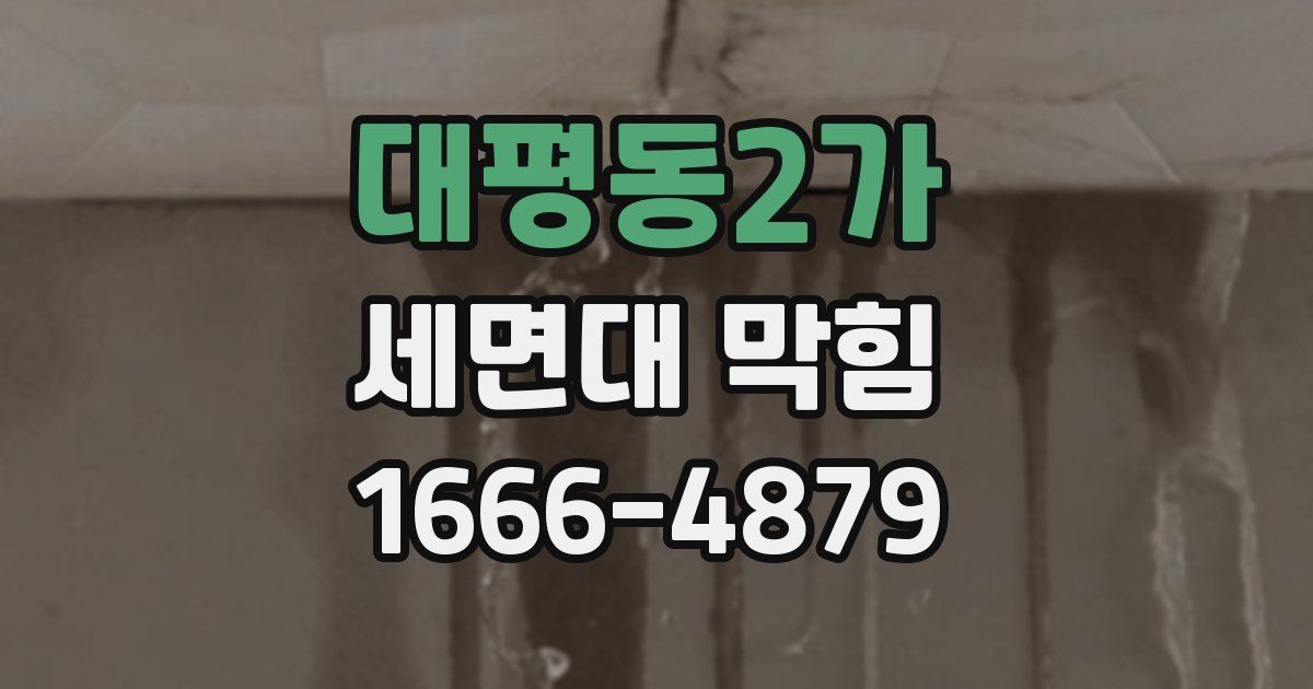 대평동2가 세면대 막힘
