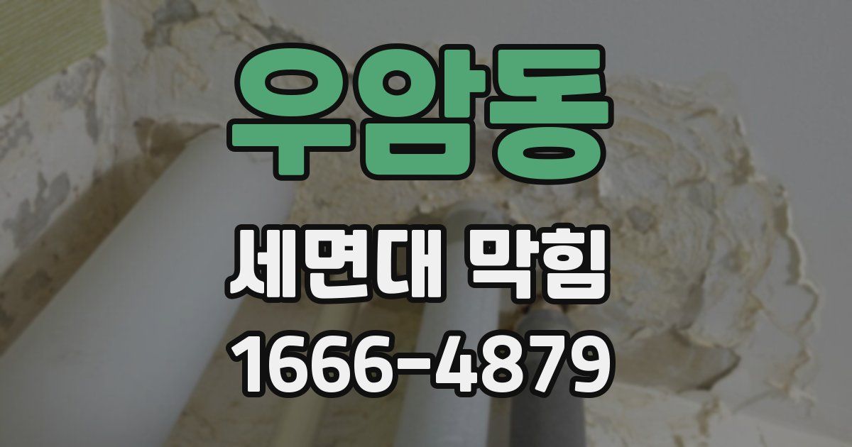 우암동 세면대 막힘