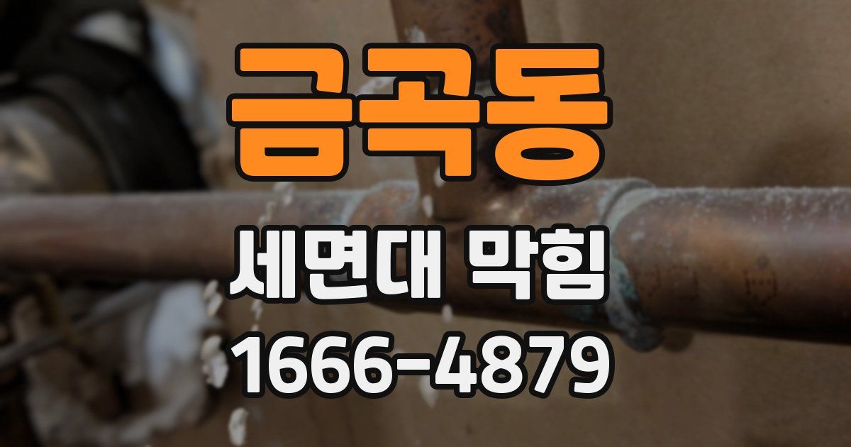 금곡동 세면대 막힘