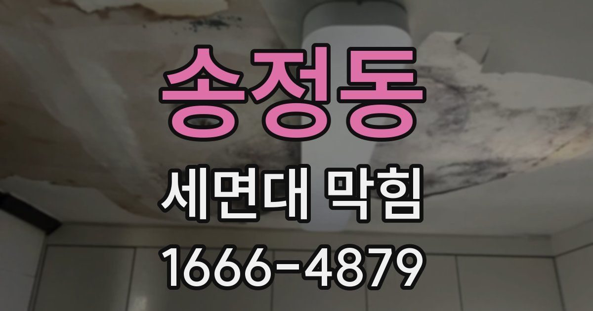송정동 세면대 막힘