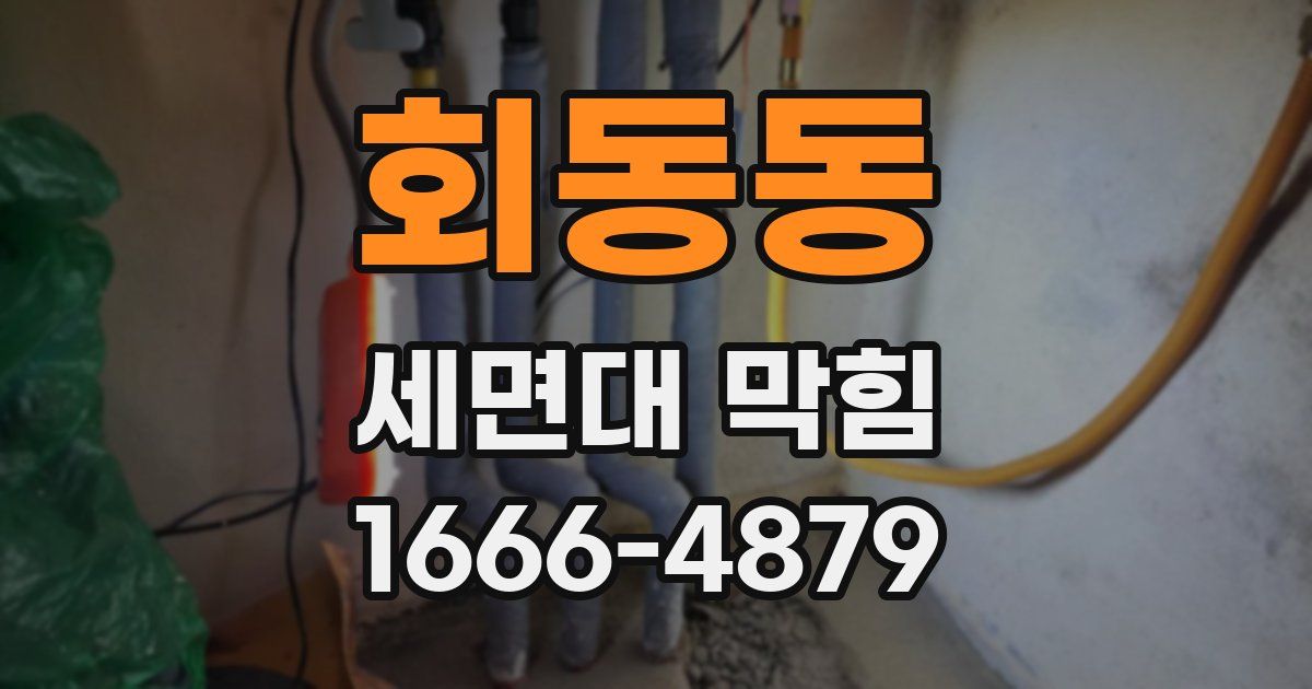 회동동 세면대 막힘