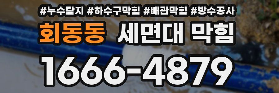 회동동 세면대 막힘
