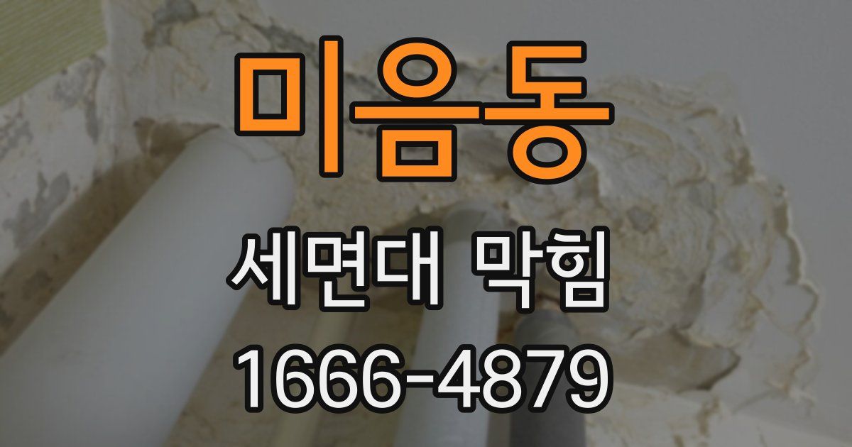 미음동 세면대 막힘
