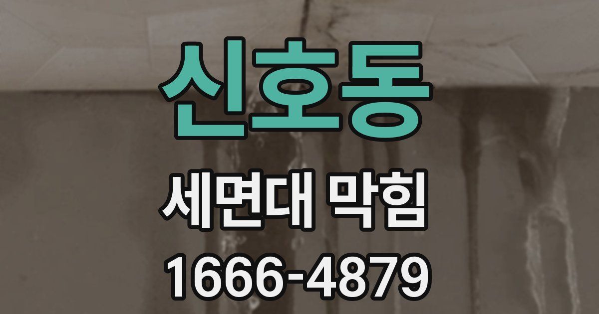 신호동 세면대 막힘
