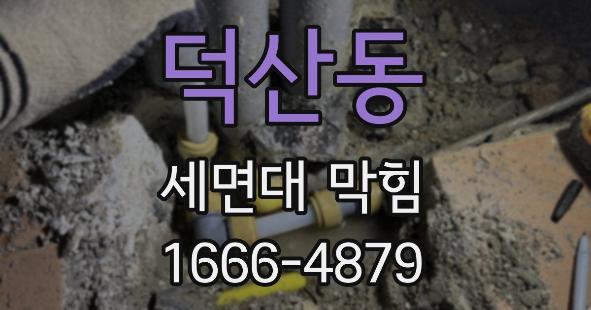 덕산동 세면대 막힘