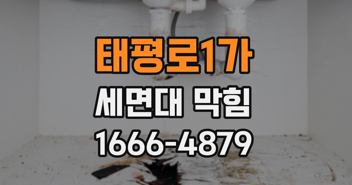 태평로1가 세면대 막힘