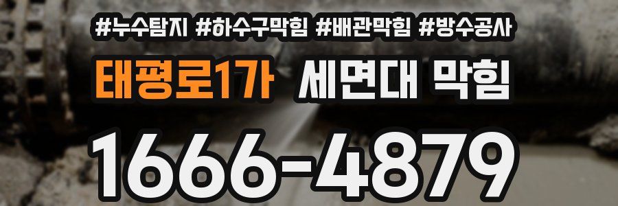 태평로1가 세면대 막힘