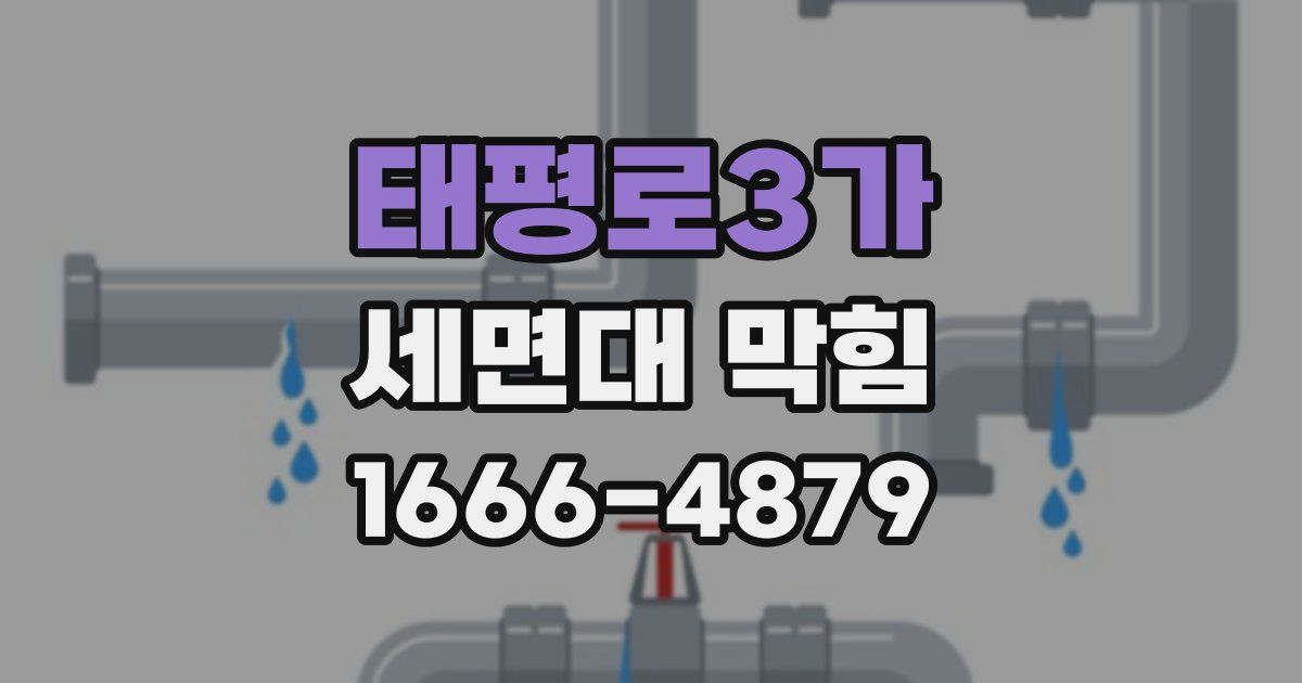태평로3가 세면대 막힘