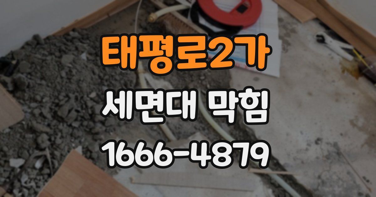태평로2가 세면대 막힘