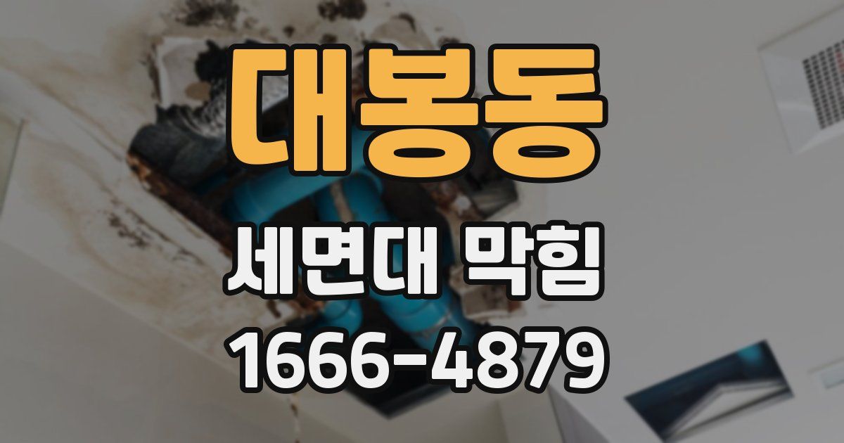 대봉동 세면대 막힘