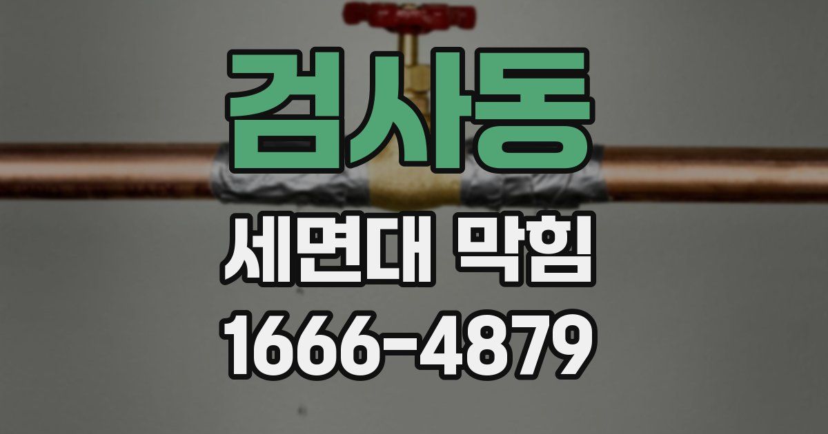 검사동 세면대 막힘