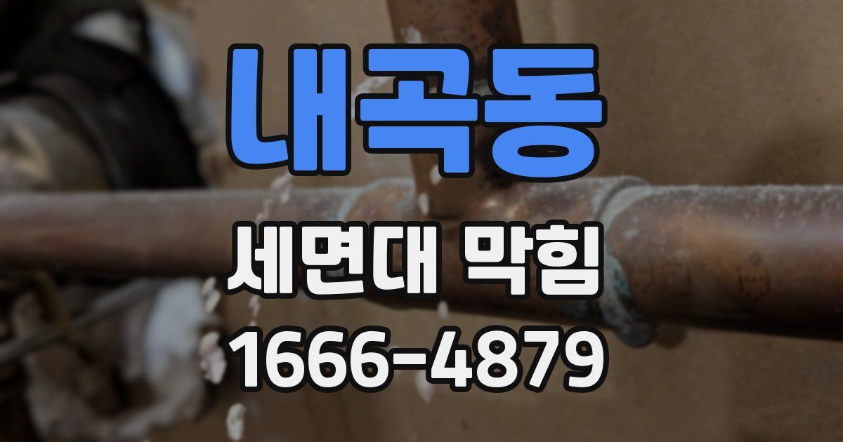 내곡동 세면대 막힘