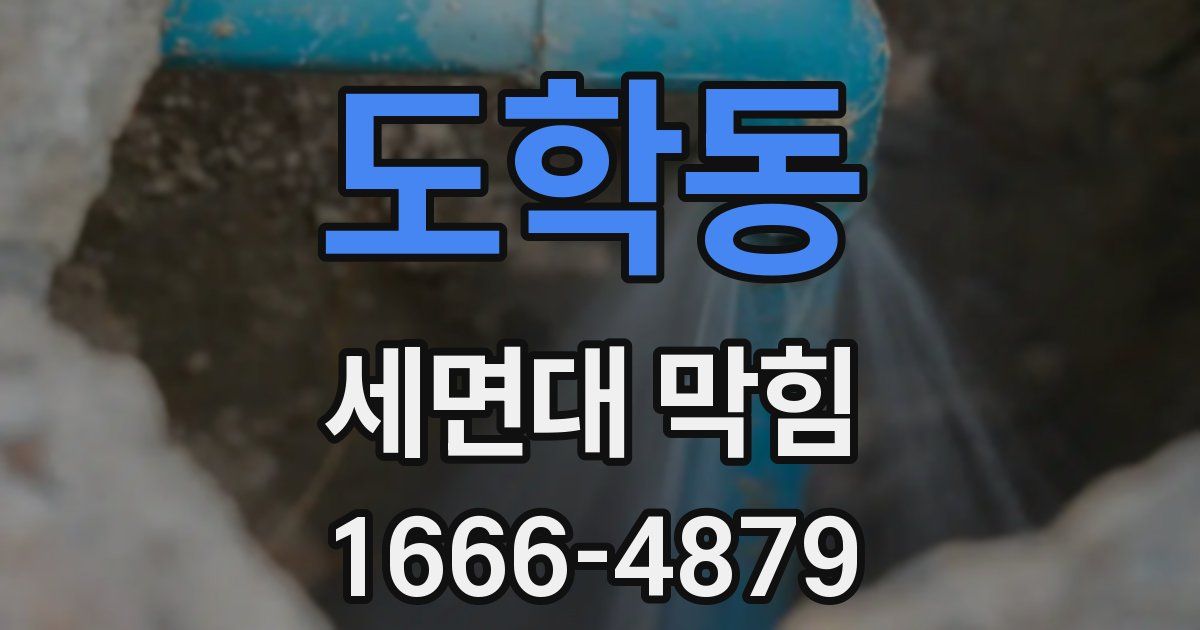 도학동 세면대 막힘