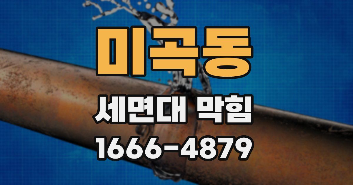 미곡동 세면대 막힘