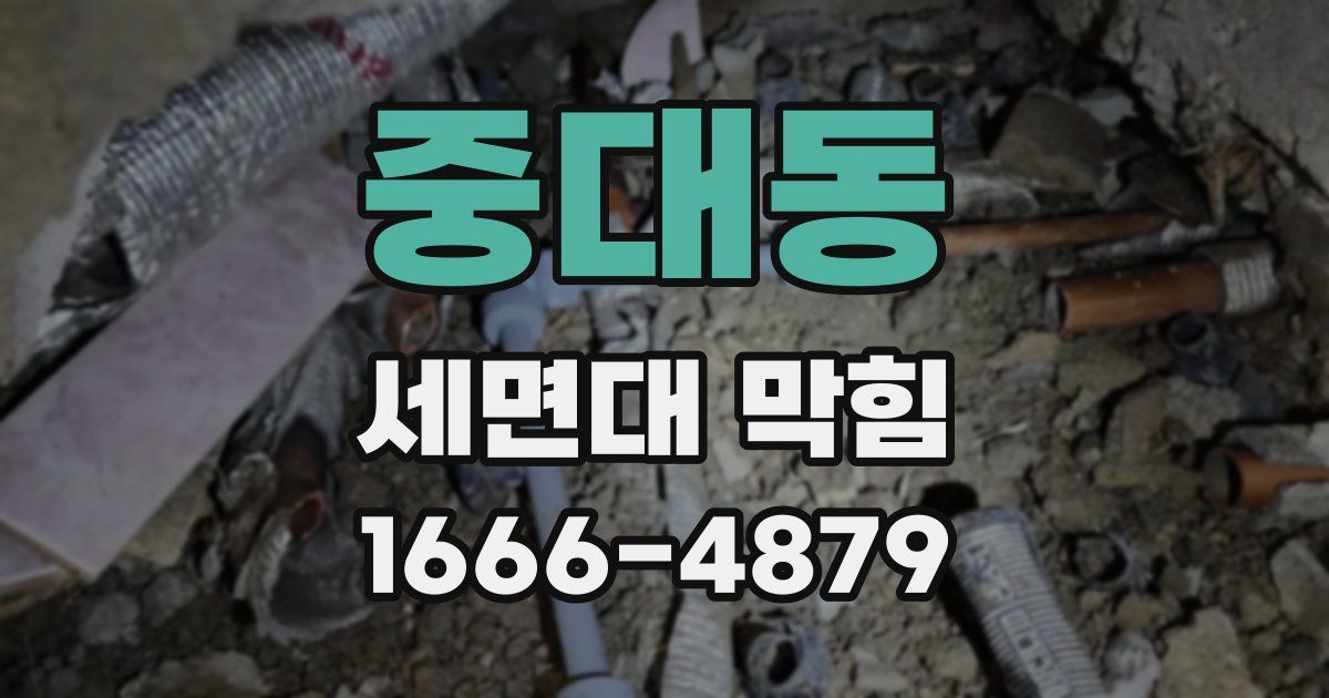 중대동 세면대 막힘