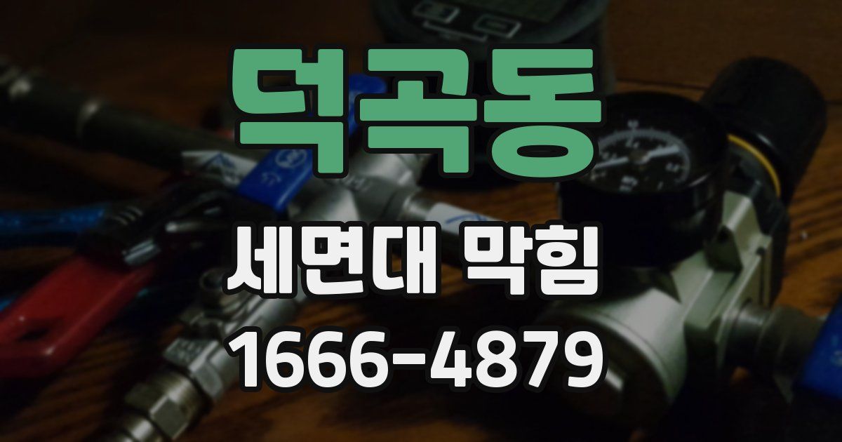 덕곡동 세면대 막힘