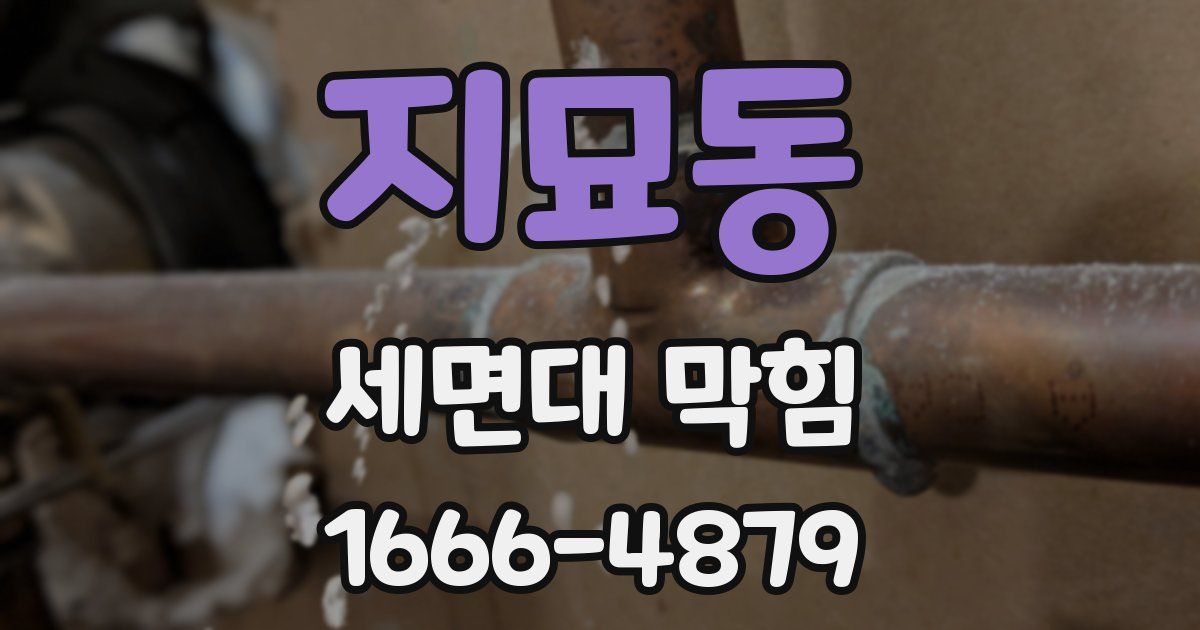 지묘동 세면대 막힘