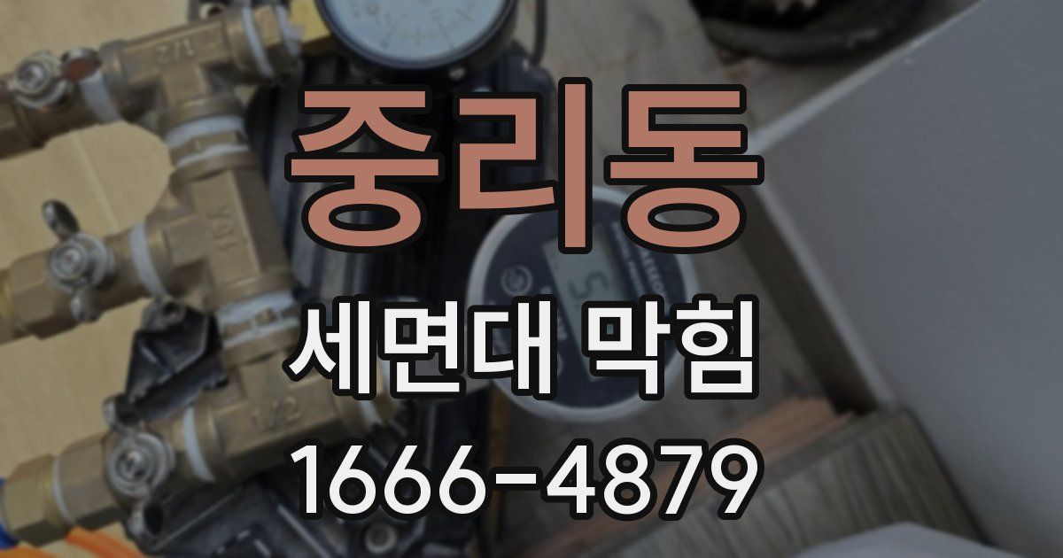 중리동 세면대 막힘