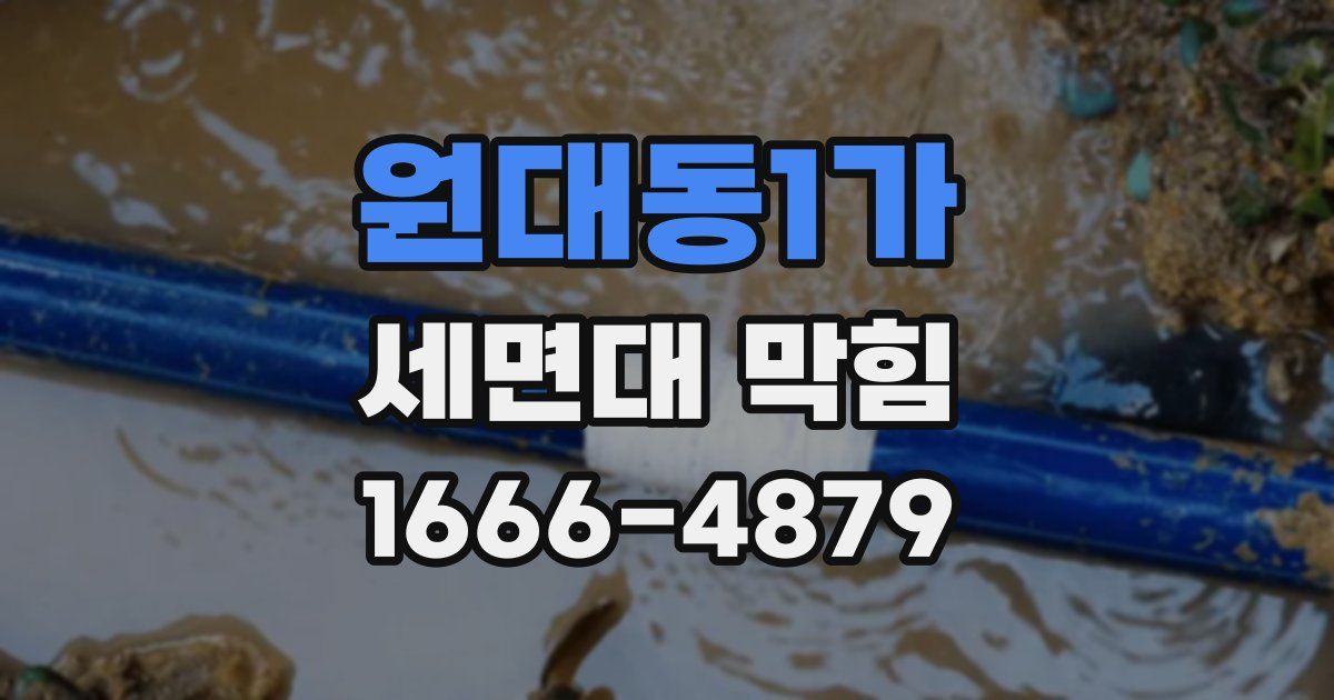 원대동1가 세면대 막힘